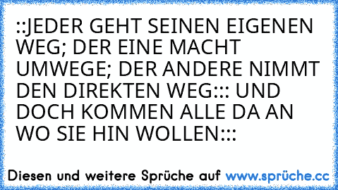 ::JEDER GEHT SEINEN EIGENEN WEG; DER EINE MACHT UMWEGE; DER ANDERE NIMMT DEN DIREKTEN WEG::: UND DOCH KOMMEN ALLE DA AN WO SIE HIN WOLLEN:::