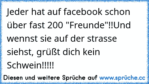 Jeder hat auf facebook schon über fast 200 "Freunde"!!
Und wennst sie auf der strasse siehst, grüßt dich kein Schwein!!!!!