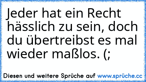 Jeder hat ein Recht hässlich zu sein, doch du übertreibst es mal wieder maßlos. (;