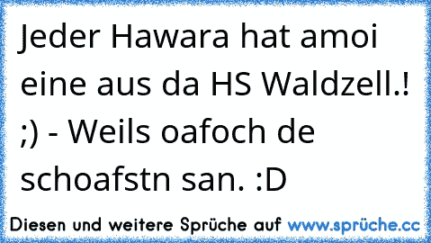 Jeder Hawara hat amoi eine aus da HS Waldzell.! ;) - Weils oafoch de schoafstn san. :D