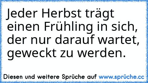 Jeder Herbst trägt einen Frühling in sich, der nur darauf wartet, geweckt zu werden.