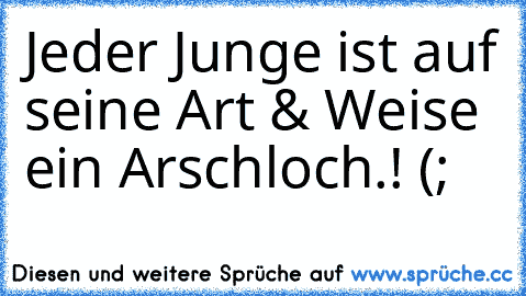 Jeder Junge ist auf seine Art & Weise ein Arschloch.! (;