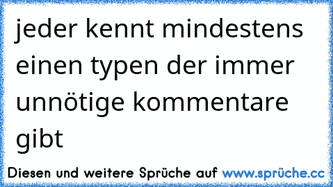 jeder kennt mindestens einen typen der immer unnötige kommentare gibt