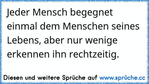 Jeder Mensch begegnet einmal dem Menschen seines Lebens, aber nur wenige erkennen ihn rechtzeitig.