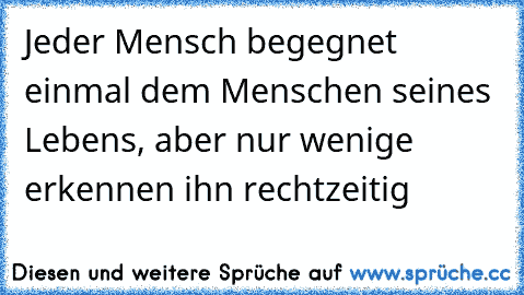 Jeder Mensch begegnet einmal dem Menschen seines Lebens, aber nur wenige erkennen ihn rechtzeitig