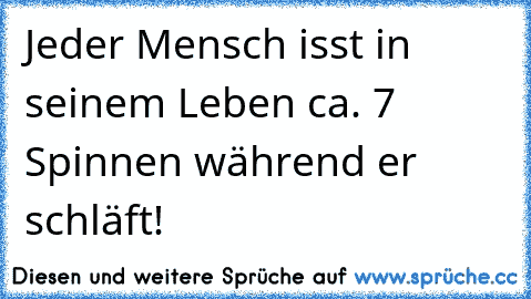 Jeder Mensch isst in seinem Leben ca. 7 Spinnen während er schläft!