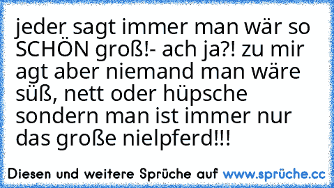 jeder sagt immer man wär so SCHÖN groß!- ach ja?! zu mir agt aber niemand man wäre süß, nett oder hüpsche sondern man ist immer nur das große nielpferd!!!