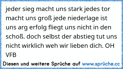 jeder sieg macht uns stark jedes tor macht uns groß jede niederlage ist uns arg erfolg fliegt uns nicht in den schoß. doch selbst der abstieg tut uns nicht wirklich weh wir lieben dich. OH VFB