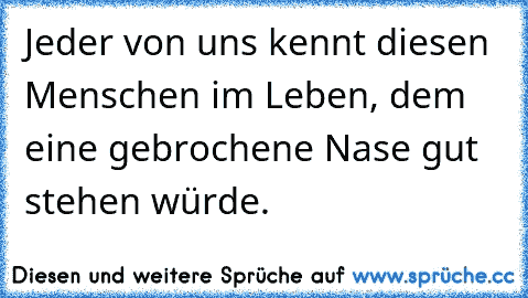 Jeder von uns kennt diesen Menschen im Leben, dem eine gebrochene Nase gut stehen würde.