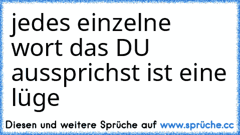 jedes einzelne wort das DU aussprichst ist eine lüge