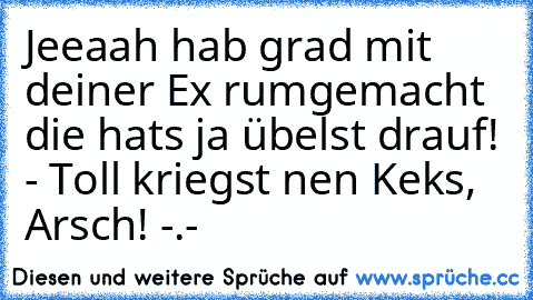 Jeeaah hab grad mit deiner Ex rumgemacht die hats ja übelst drauf! - Toll kriegst nen Keks, Arsch! -.-