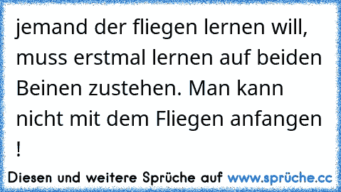 jemand der fliegen lernen will, muss erstmal lernen auf beiden Beinen zustehen. Man kann nicht mit dem Fliegen anfangen !