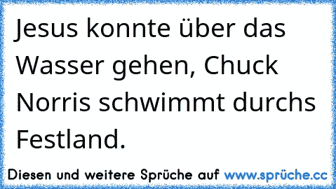 Jesus konnte über das Wasser gehen, Chuck Norris schwimmt durchs Festland.