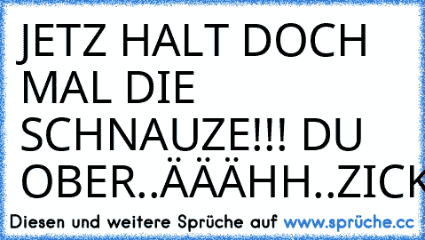 JETZ HALT DOCH MAL DIE SCHNAUZE!!! DU OBER..ÄÄÄHH..ZICKEE!!!