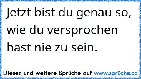 Jetzt bist du genau so, wie du versprochen hast nie zu sein.  ☆  ☆  ☆