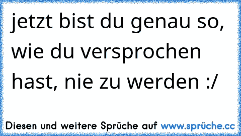 jetzt bist du genau so, wie du versprochen hast, nie zu werden :/