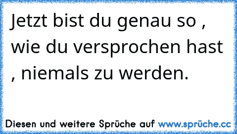 Jetzt bist du genau so , wie du versprochen hast , niemals zu werden.