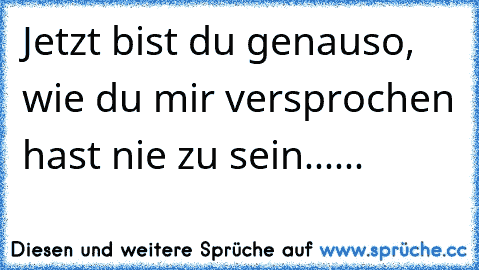 Jetzt bist du genauso, wie du mir versprochen hast nie zu sein......