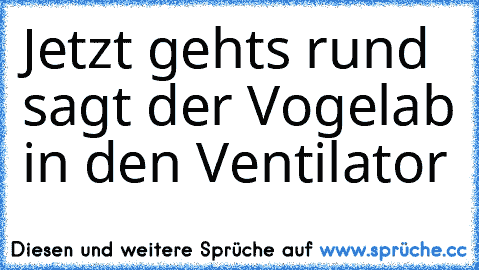 Jetzt gehts rund sagt der Vogel
ab in den Ventilator