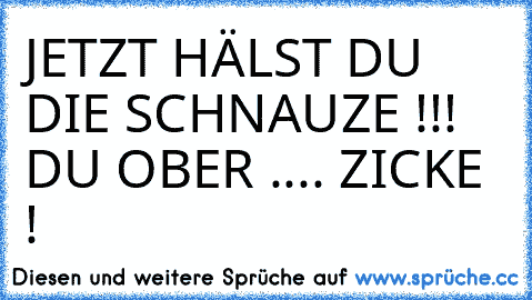 JETZT HÄLST DU DIE SCHNAUZE !!! DU OBER .... ZICKE !