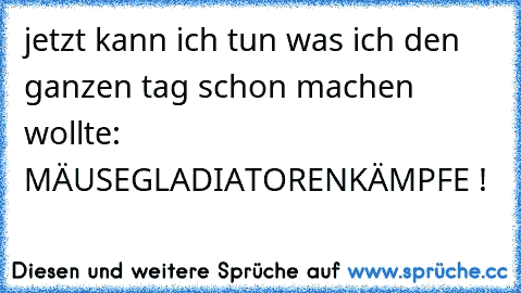 jetzt kann ich tun was ich den ganzen tag schon machen wollte: MÄUSEGLADIATORENKÄMPFE !