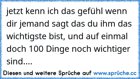 jetzt kenn ich das gefühl wenn dir jemand sagt das du ihm das wichtigste bist, und auf einmal doch 100 Dinge noch wichtiger sind....