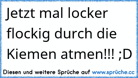 Jetzt mal locker flockig durch die Kiemen atmen!!! ;D