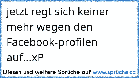 jetzt regt sich keiner mehr wegen den Facebook-profilen auf...xP