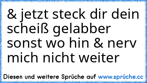 & jetzt steck dir dein scheiß gelabber sonst wo hin & nerv mich nicht weiter