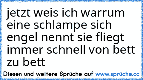 jetzt weis ich warrum eine schlampe sich engel nennt sie fliegt immer schnell von bett zu bett