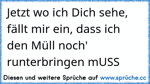 Jetzt wo ich Dich sehe, fällt mir ein, dass ich den Müll noch' runterbringen mUSS