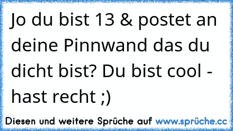 Jo du bist 13 & postet an deine Pinnwand das du dicht bist? Du bist cool - hast recht ;)