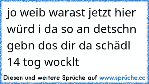 jo weib warast jetzt hier würd i da so an detschn gebn dos dir da schädl 14 tog wocklt