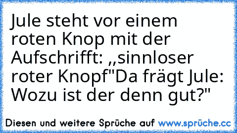 Jule steht vor einem roten Knop mit der Aufschrifft: ,,sinnloser roter Knopf"
Da frägt Jule: Wozu ist der denn gut?"