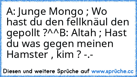 A: Junge Mongo ; Wo hast du den fellknäul den gepollt ?^^
B: Altah ; Hast du was gegen meinen Hamster , kim ? -.- ♥