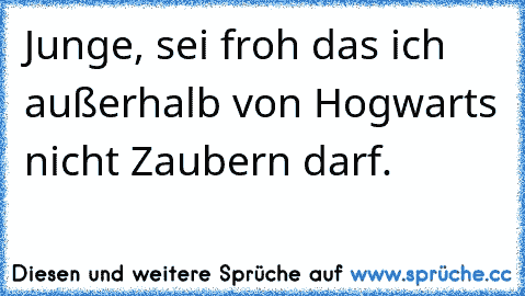 Junge, sei froh das ich außerhalb von Hogwarts nicht Zaubern darf.