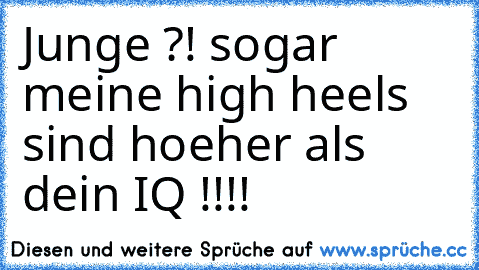 Junge ?! sogar meine high heels sind hoeher als dein IQ !!!!