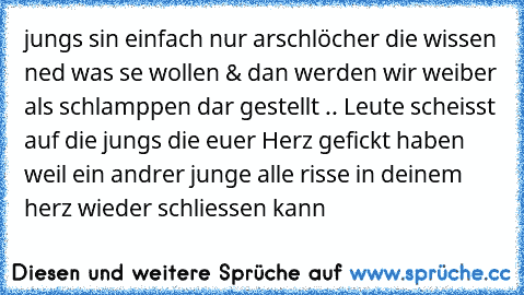 jungs sin einfach nur arschlöcher die wissen ned was se wollen & dan werden wir weiber als schlamppen dar gestellt .. Leute scheisst auf die jungs die euer Herz gefickt haben weil ein andrer junge alle risse in deinem herz wieder schliessen kann