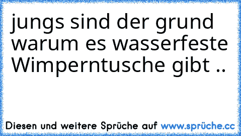 jungs sind der grund warum es wasserfeste Wimperntusche gibt ..