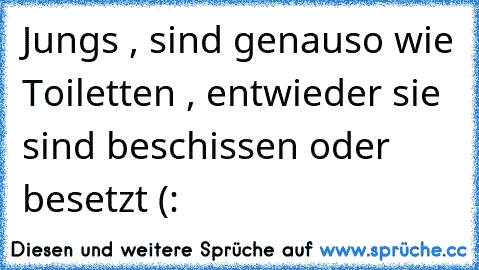 Jungs , sind genauso wie Toiletten , entwieder sie sind beschissen oder besetzt (: