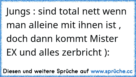 Jungs : sind total nett wenn man alleine mit ihnen ist , doch dann kommt Mister EX und alles zerbricht ):