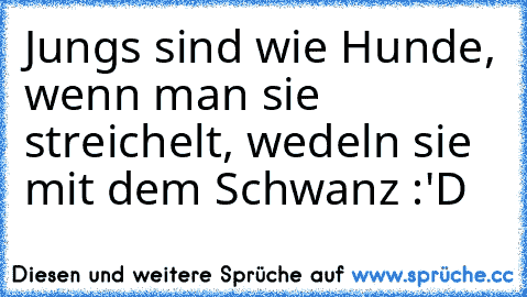 Jungs sind wie Hunde, wenn man sie streichelt, wedeln sie mit dem Schwanz :'D