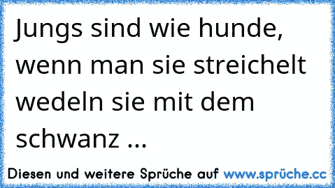 Jungs sind wie hunde, wenn man sie streichelt wedeln sie mit dem schwanz ...