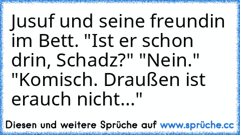 Jusuf und seine freundin im Bett. "Ist er schon drin, Schadz?" "Nein." "Komisch. Draußen ist er
auch nicht..."