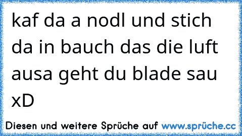 kaf da a nodl und stich da in bauch das die luft ausa geht du blade sau xD