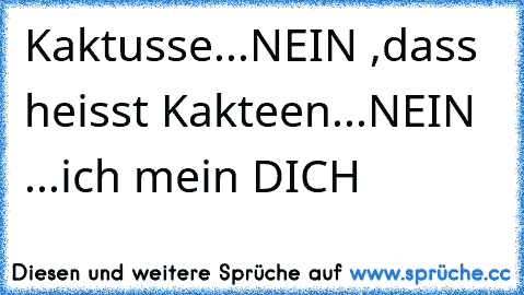 Kaktusse...NEIN ,dass heisst Kakteen...NEIN ...ich mein DICH