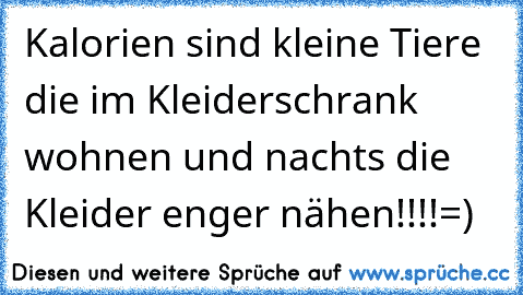 Kalorien sind kleine Tiere die im Kleiderschrank wohnen und nachts die Kleider enger nähen!!!!=)