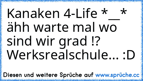 Kanaken 4-Life *__* ähh warte mal wo sind wir grad !? Werksrealschule... :D