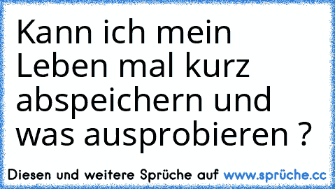 Kann ich mein Leben mal kurz abspeichern und was ausprobieren ?