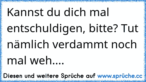 Kannst du dich mal entschuldigen, bitte? Tut nämlich verdammt noch mal weh....